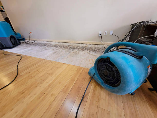 Professional Flood Damage Cleanup technician working in Glenwood, IL